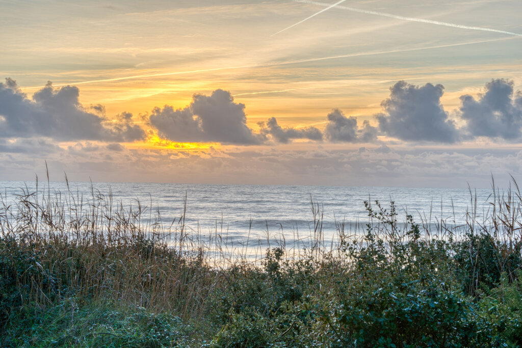 CASALUCIANA LESSABLES