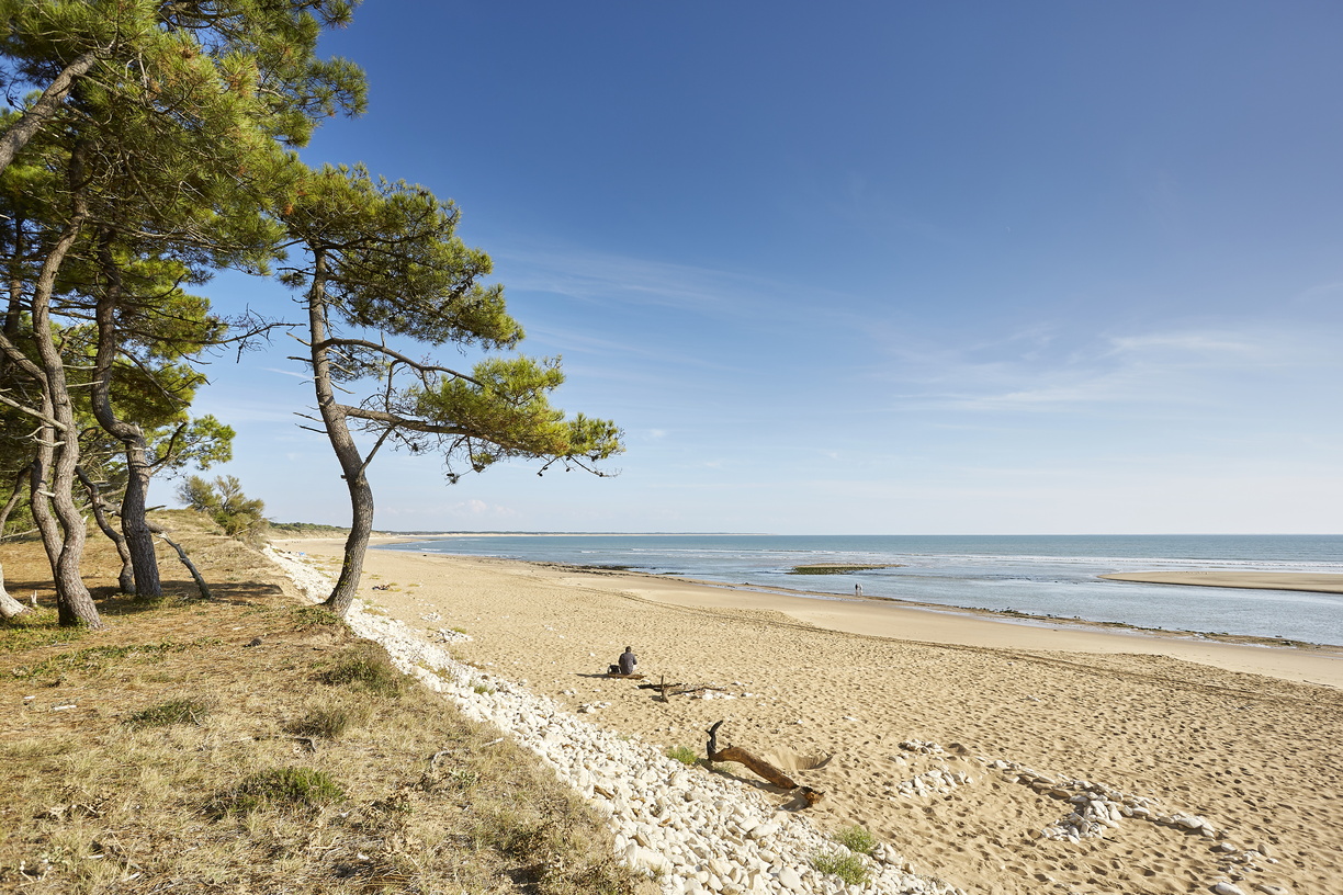 Paysages de la Vendée -  2014