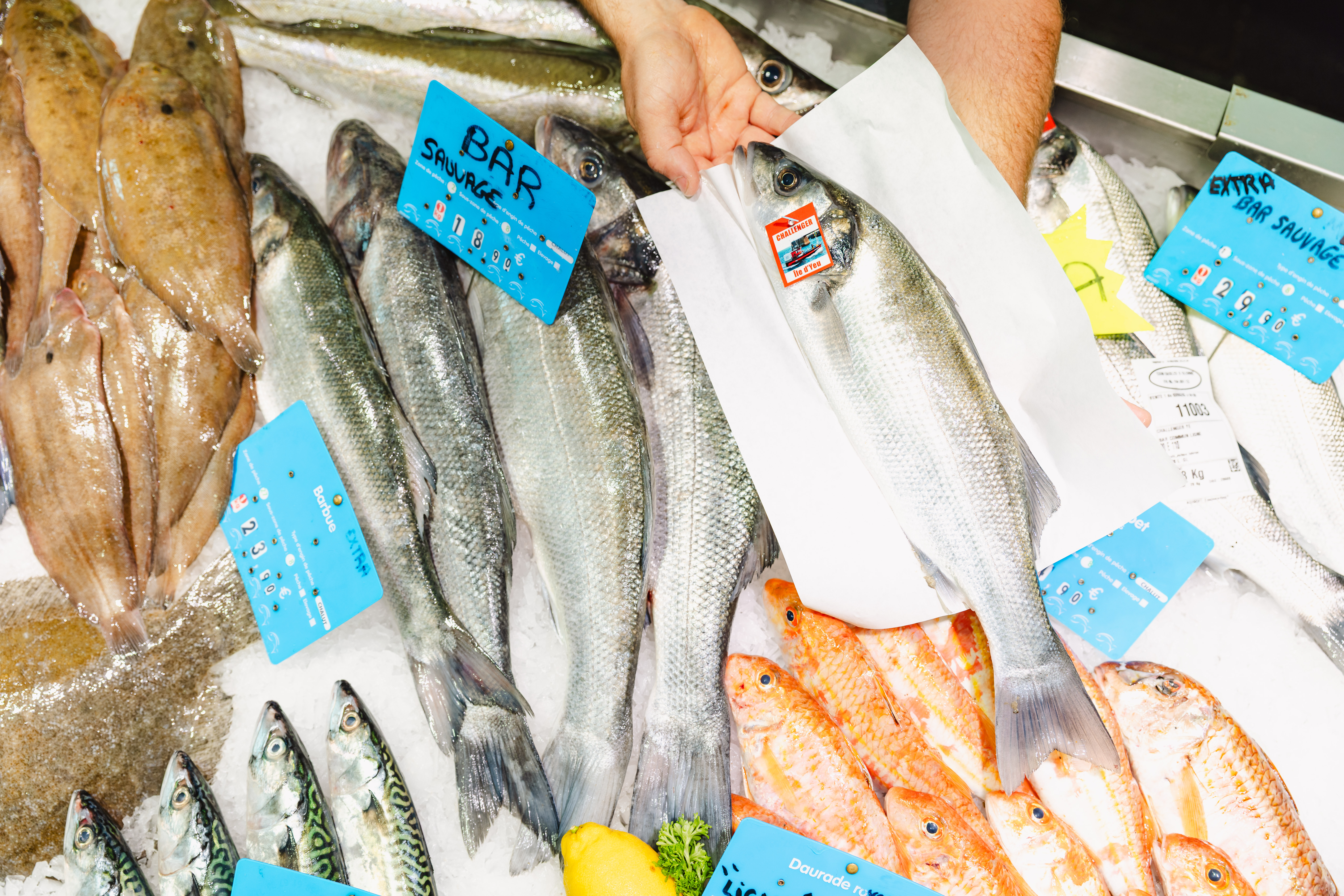 2025 MarchedesHallesEphemeres LesSablesdOlonne SBourcier 027